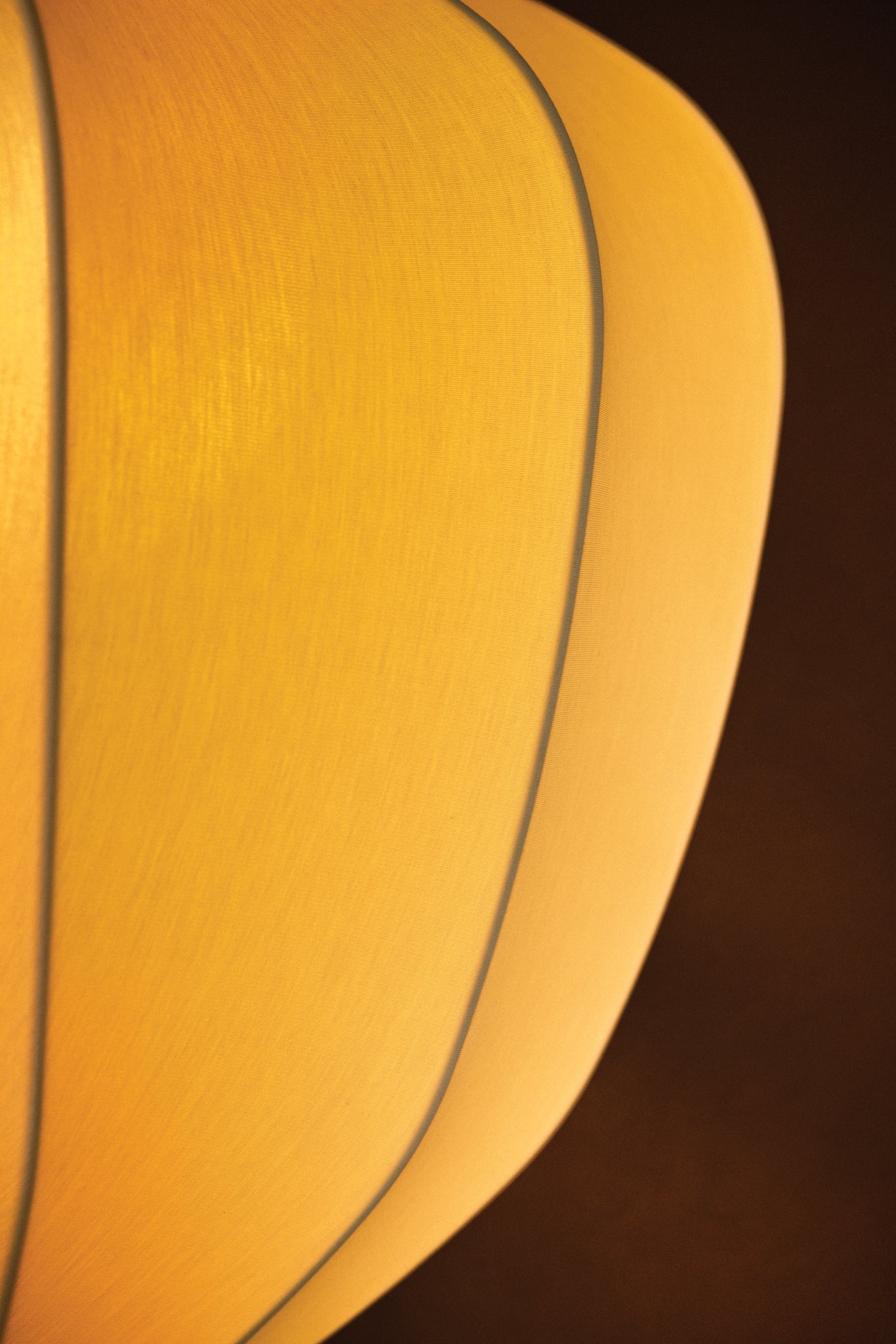 Hoshi Pendant Light