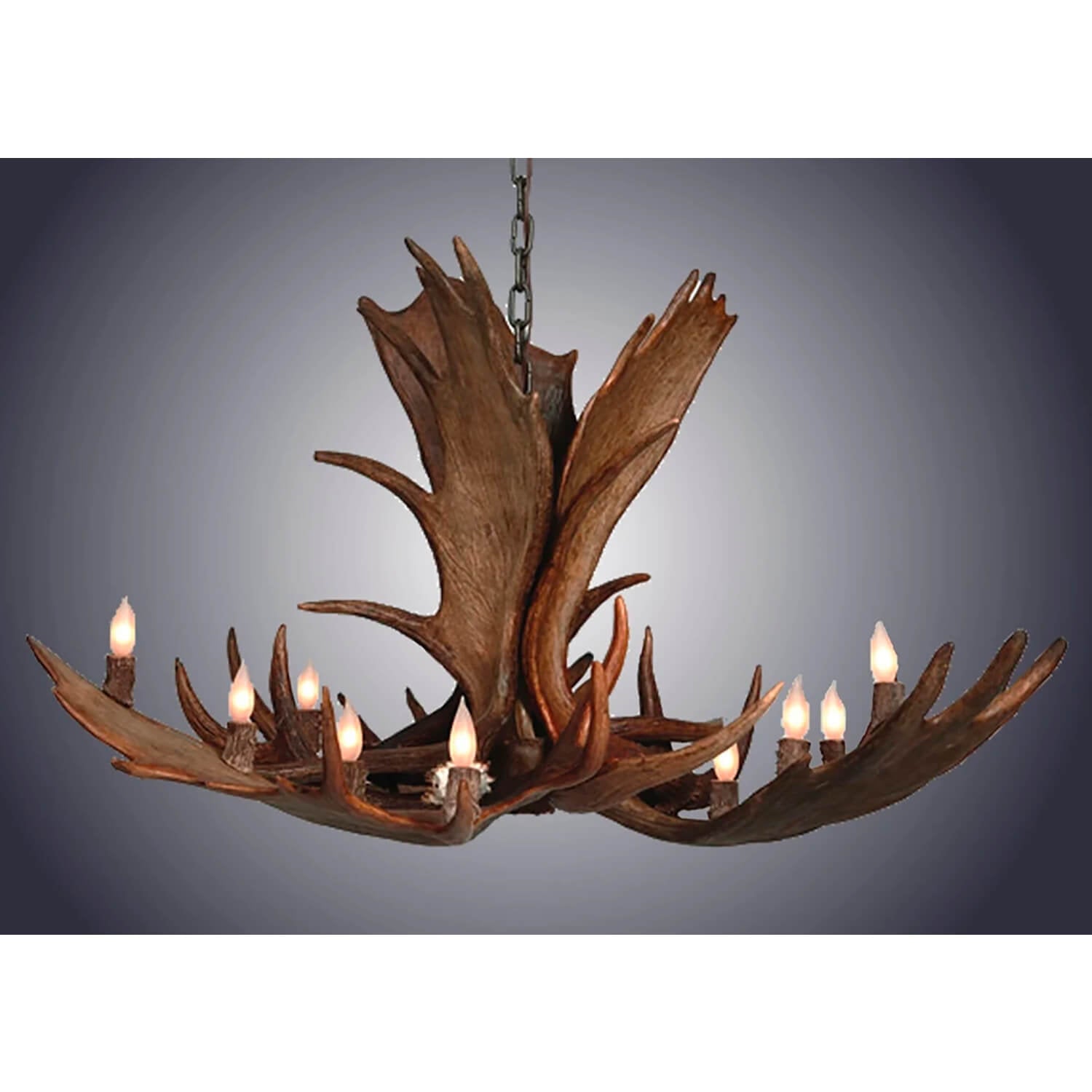 https://assets.wfcdn.com/im/64091458/compr-r85/2073/207376326/10+-+Light+Chandelier.jpg