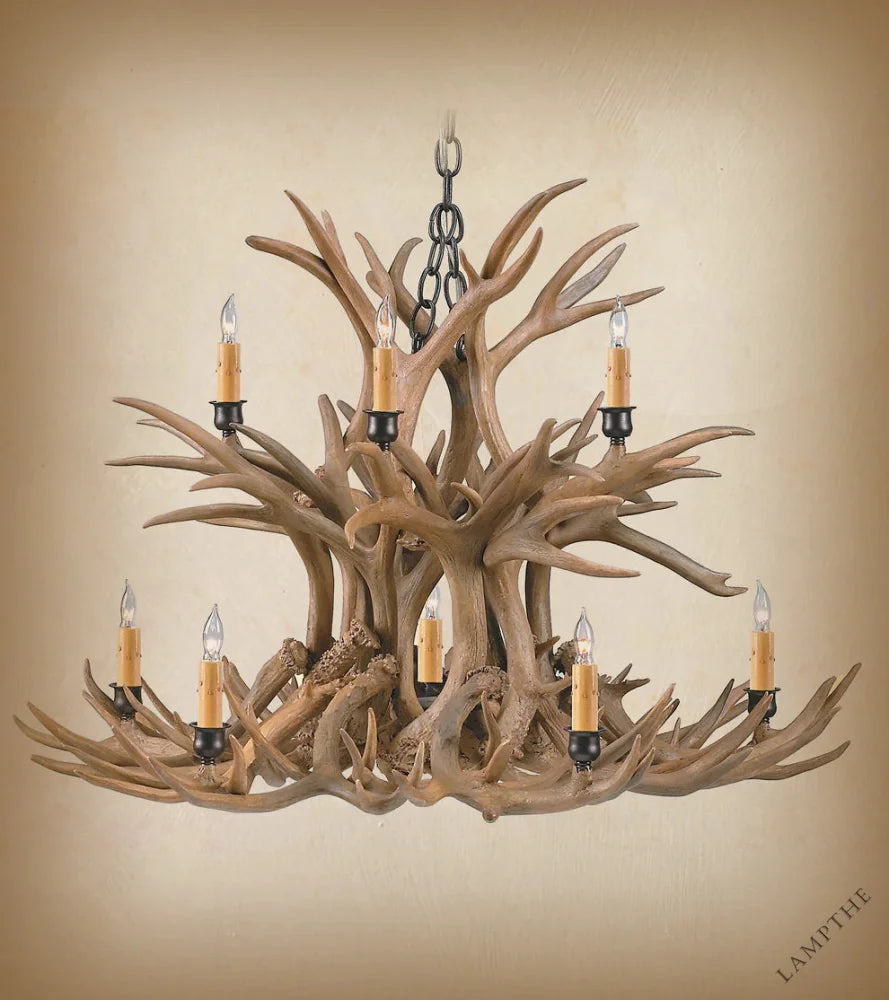 https://assets.wfcdn.com/im/03837202/compr-r85/3302/330286361/12+-+Light+Chandelier.jpg