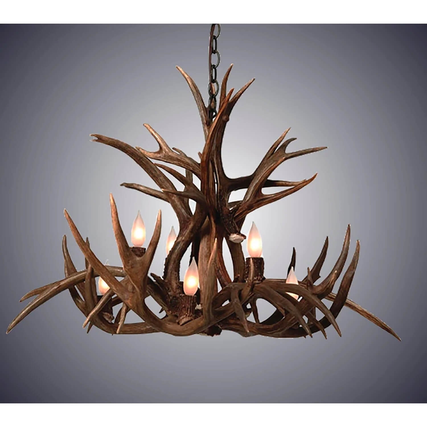 https://assets.wfcdn.com/im/62613918/compr-r85/2073/207376315/8+-+Light+Chandelier.jpg