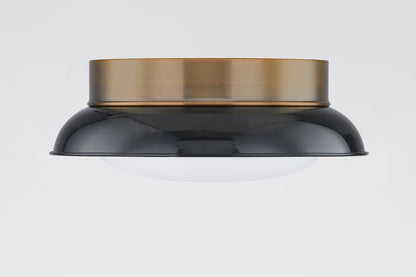 Arnie Flush Mount