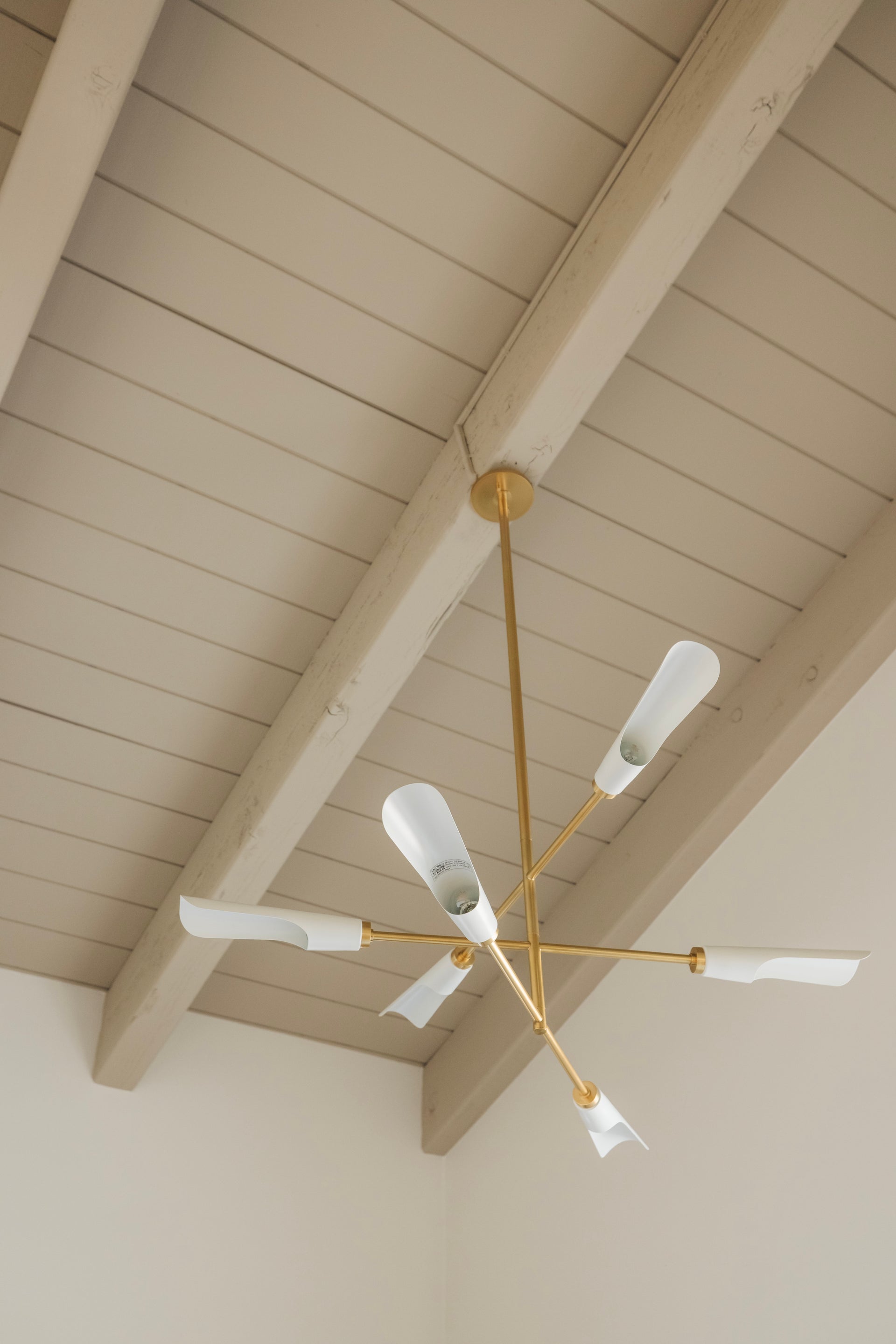 Harperrose Chandelier