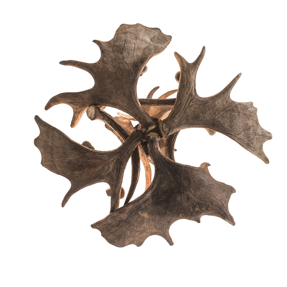 Rustic Lodge 10 - Light Chandelier 33"W