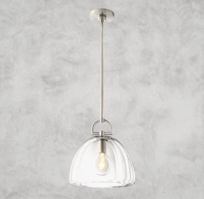 7" D / Nickle BOTANIST DOME PENDANT