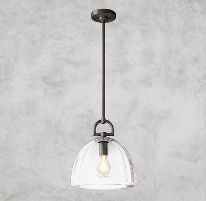 7" D / Bronze BOTANIST DOME PENDANT