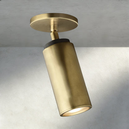 Brass/ Bronze CHAMPEAUX PIVOTING FLUSHMOUNT 9"