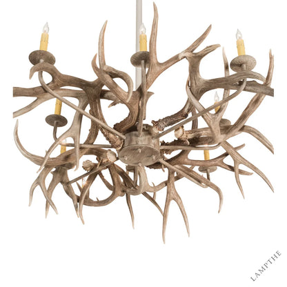 Dorulet 8 - Light Chandelier