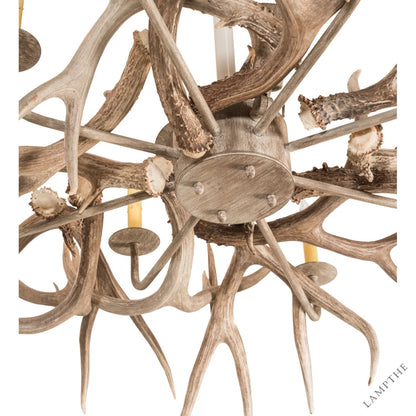 Dorulet 8 - Light Chandelier
