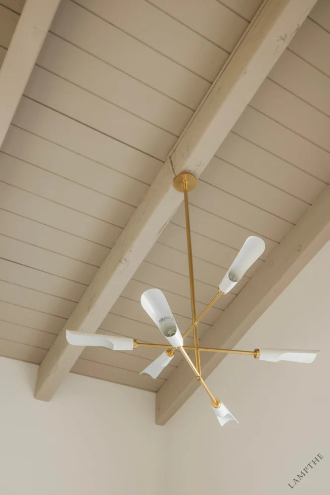Harperrose Chandelier
