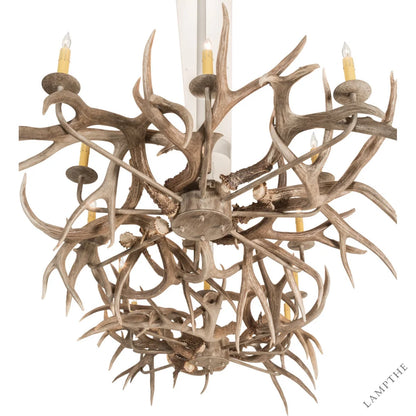 Nystead 20 - Light Chandelier