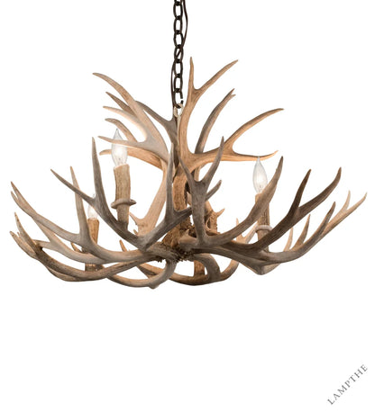 https://assets.wfcdn.com/im/87527847/compr-r85/5939/59395659/Rustic+Lodge+4+-+Light+Chandelier.jpg
