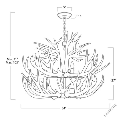 Waylon Antler Chandelier